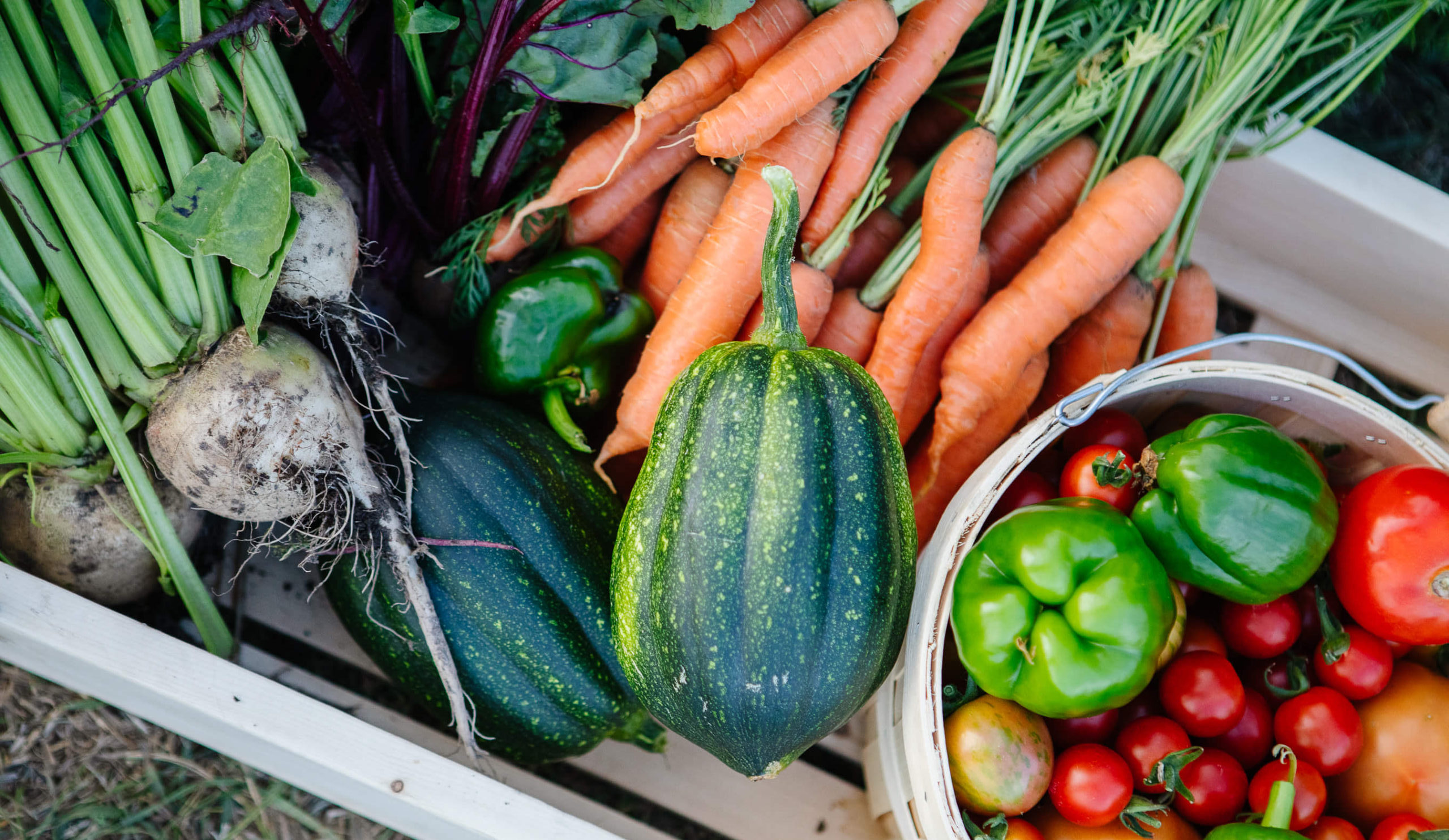 Produce Box Subscriptions The Colliery Produce Co.